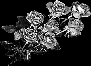 Розы букет - картинки для гравировки